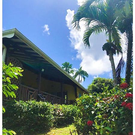 Villa Creole Riviere-Salee Extérieur photo