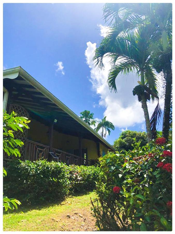 Villa Creole Riviere-Salee Extérieur photo